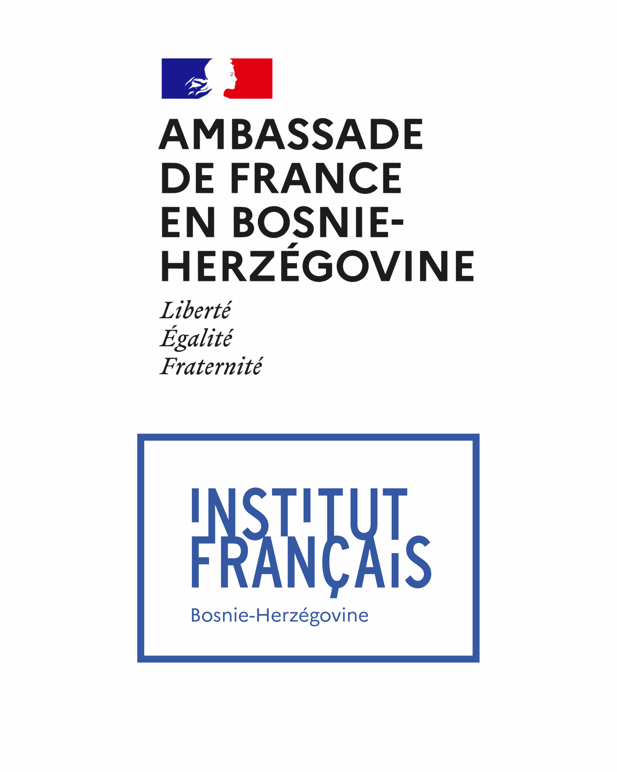 Francuski institut u BiH logo – razvoj online kurseva i digitalnih edukativnih sadržaja.